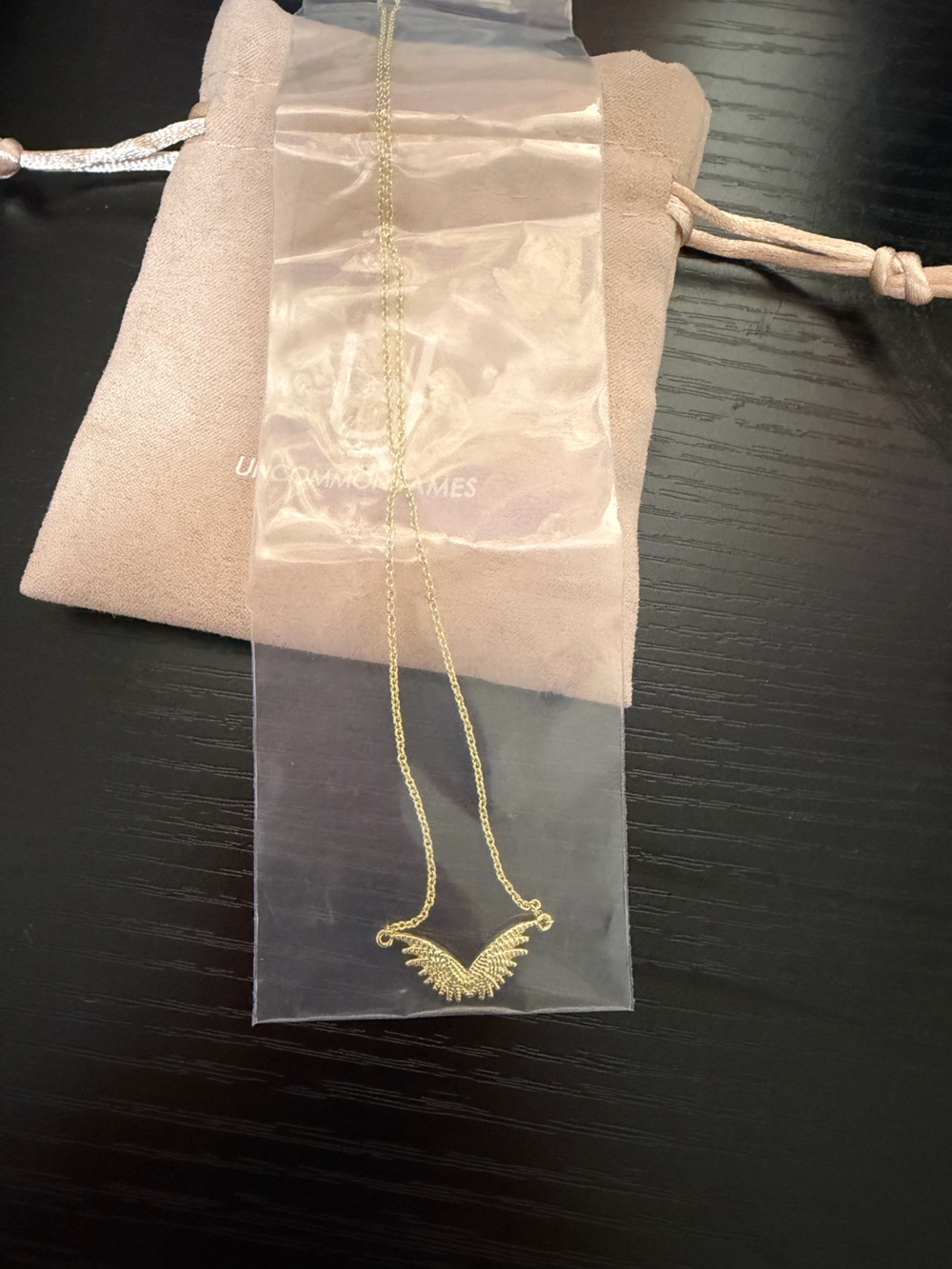 Uncommon James angel wing necklace